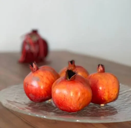 Petalou House * 易莫洛林