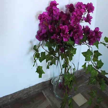 Petalou House Imerovigli (Santorini)