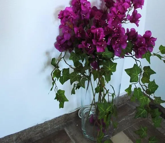 Petalou House Imerovigli (Santorini)